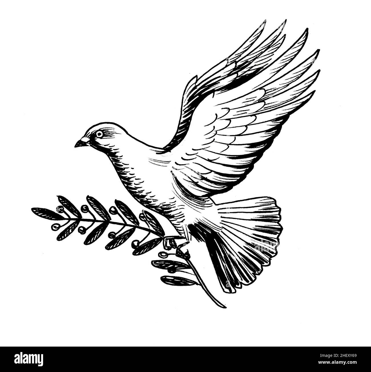 Fliegende weiße Taube mit Olivenbaum-Ast als Symbol des Friedens. Tusche schwarz-weiße Zeichnung Stockfoto