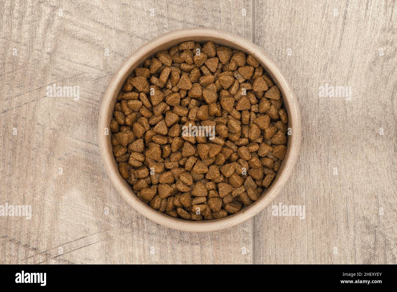 Tierfutter in Keramikschale auf Holzboden trocknen. Hund oder Katze Haustiere Futter. Stockfoto