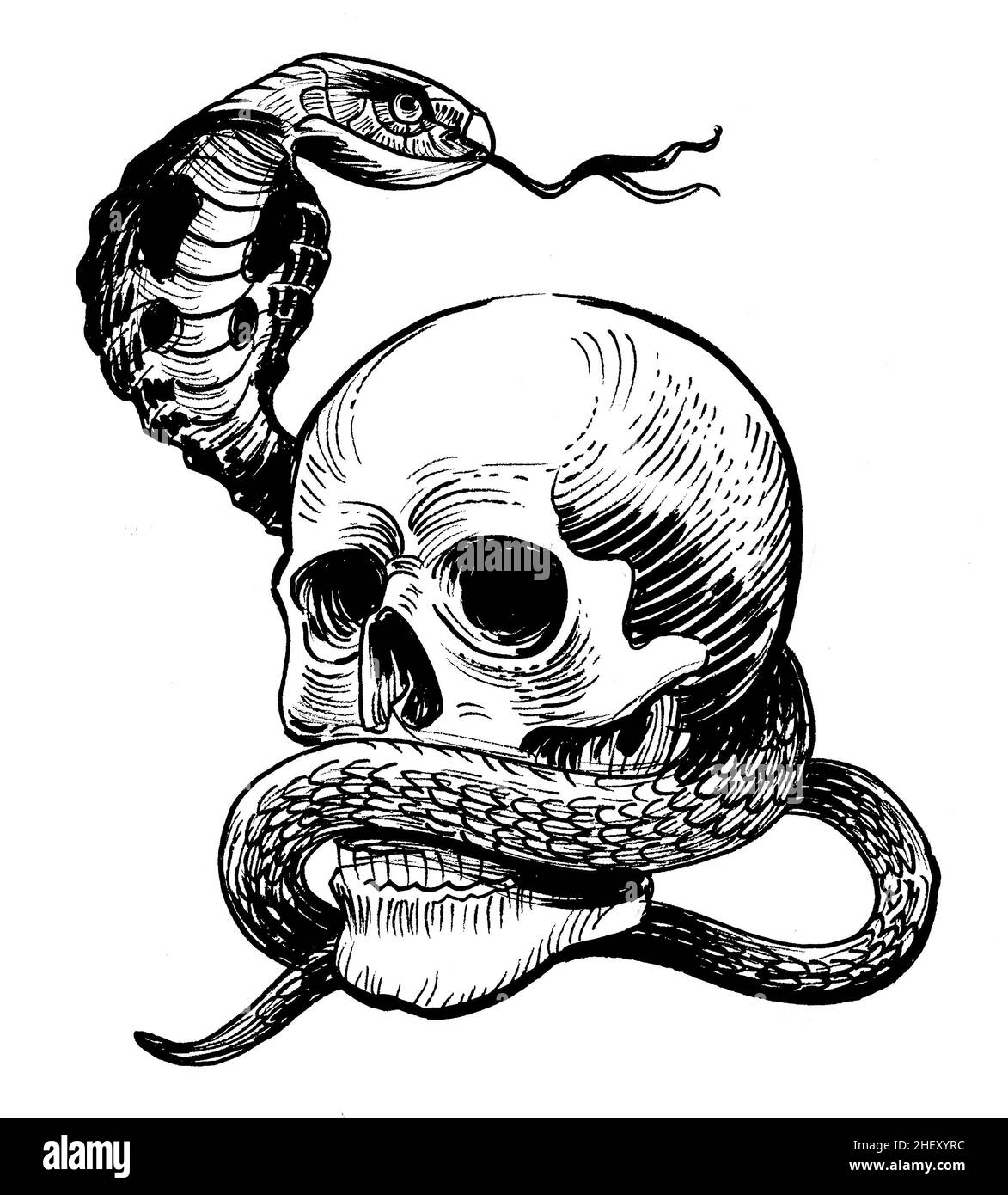 Menschlicher Schädel und Kobra-Schlange. Tinte schwarz-weiß Zeichnung Stockfoto