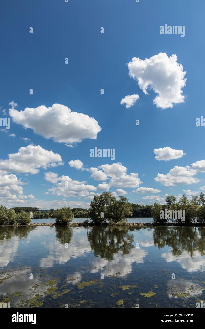 Blick auf den Rhein bei Walluf mit Spiegelung der Wolken Stockfoto