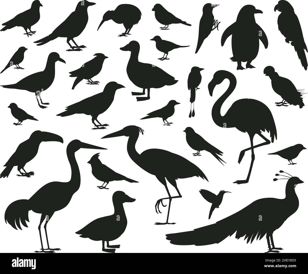 Cartoon-Vögel Silhouetten, schwarze Taube, Tukan und Papagei Zeichen. Wildtiere, Wälder oder Stadtvögel, Spatz und Möwen Vektor Illustration Set Stock Vektor