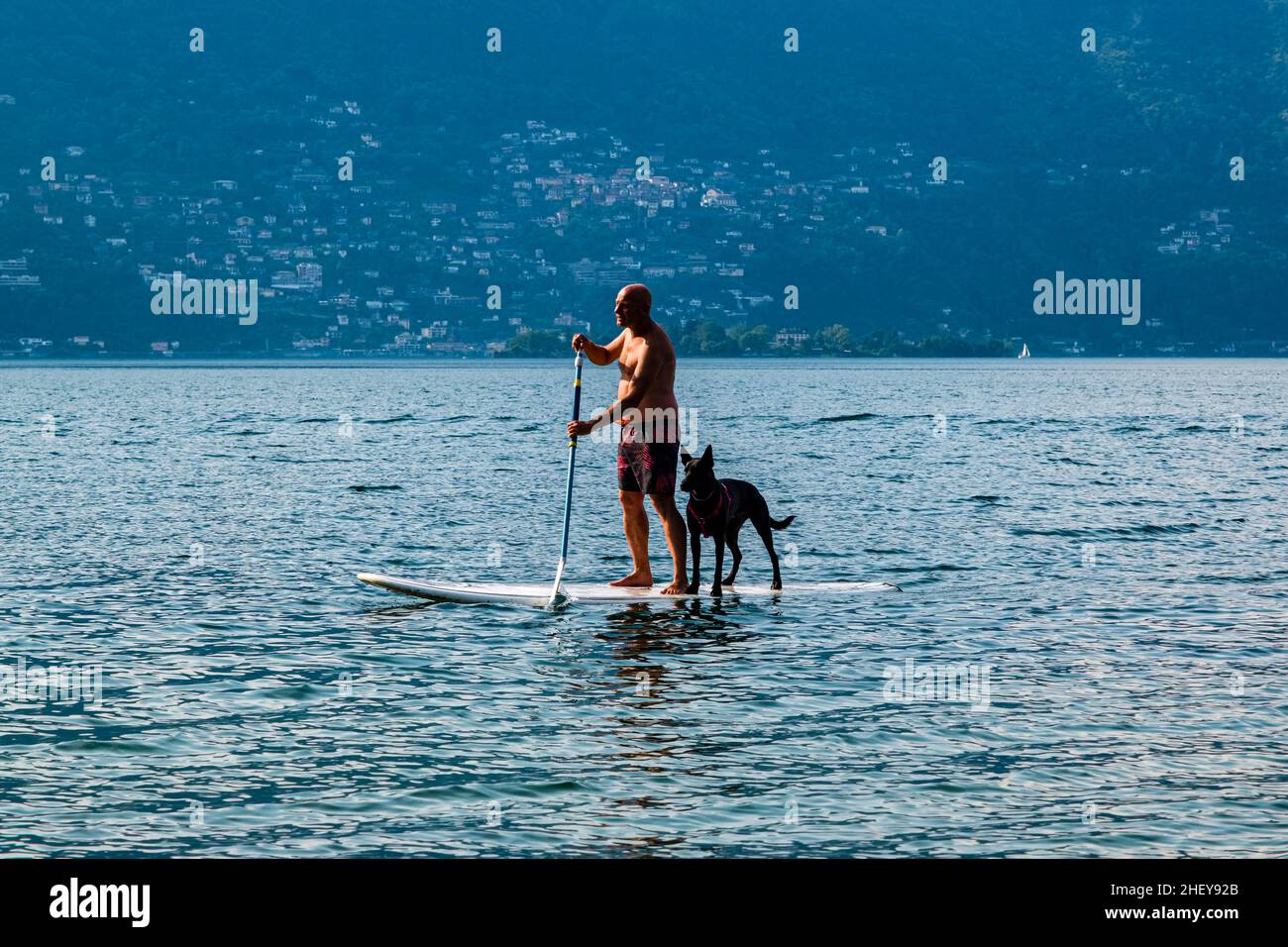 Ein Mann, der eine Schwimmhose trägt, begleitet von einem schwarzen Hund, paddelnd auf dem Lago Maggiore. Stockfoto