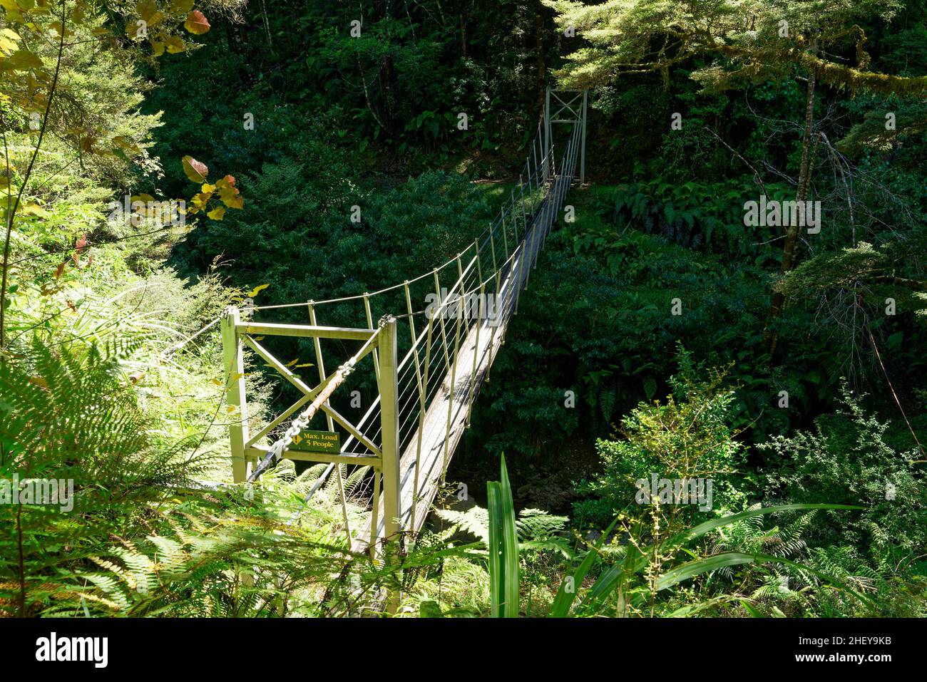 Swing Bridge, Victoria Forest Park, in der Nähe von Reefton, Südinsel, Neuseeland. Stockfoto