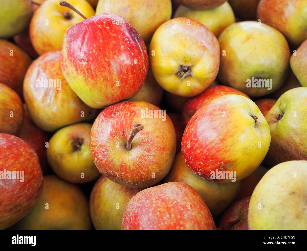 Indonesische Äpfel für die Gesundheit Stockfoto