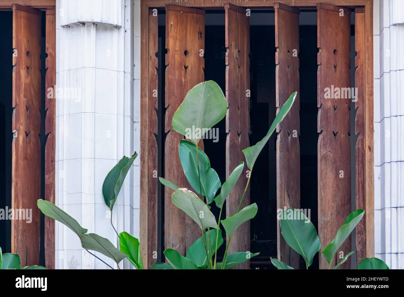 Exotische braune Holztrennwand an der weißen Wand mit den tropischen grünen Bananenblättern in der Vorderseite verziert Stockfoto