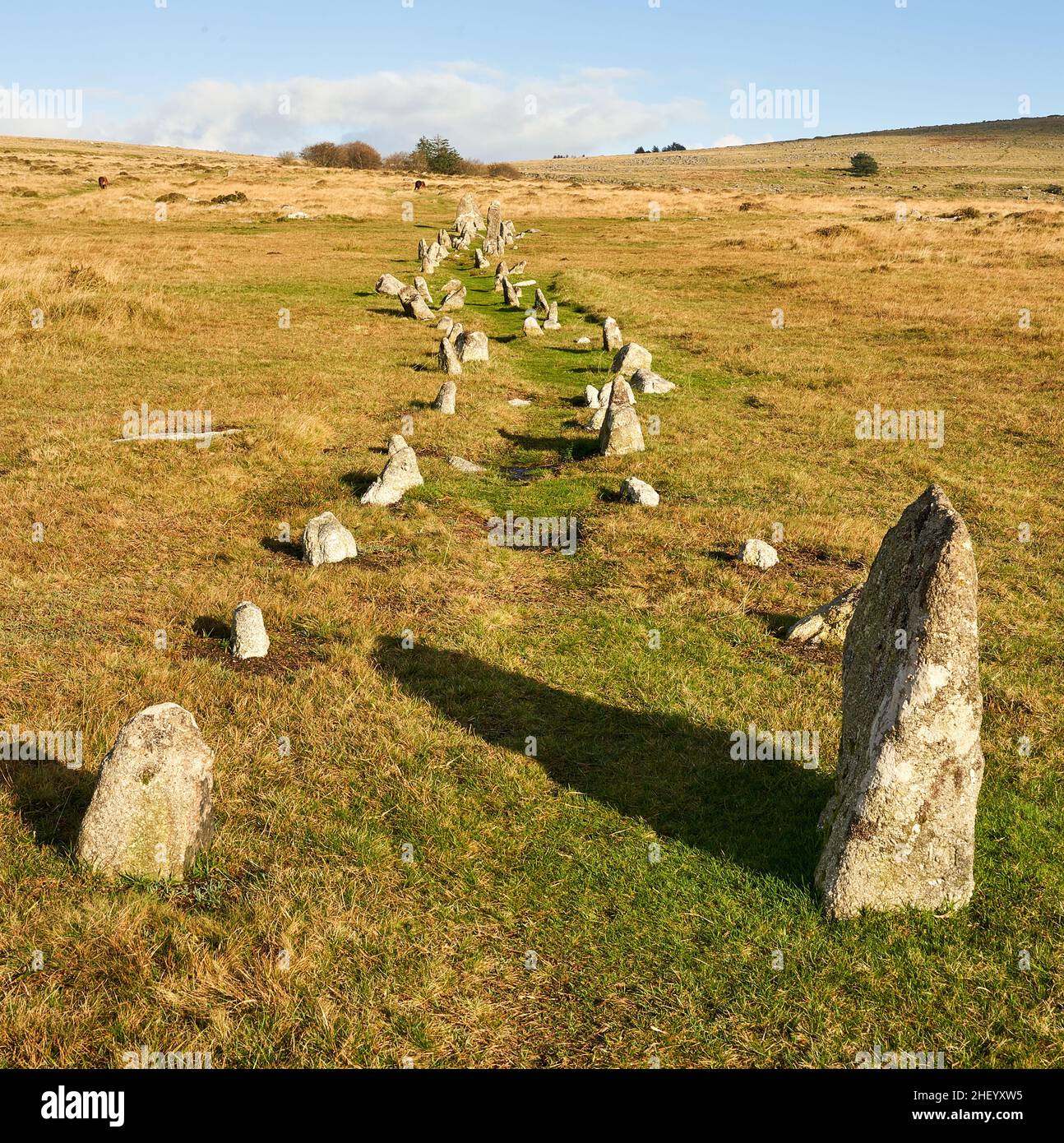 Steinreihe aus der Bronzezeit in Merrivale auf Dartmoor in Devon, Großbritannien Stockfoto