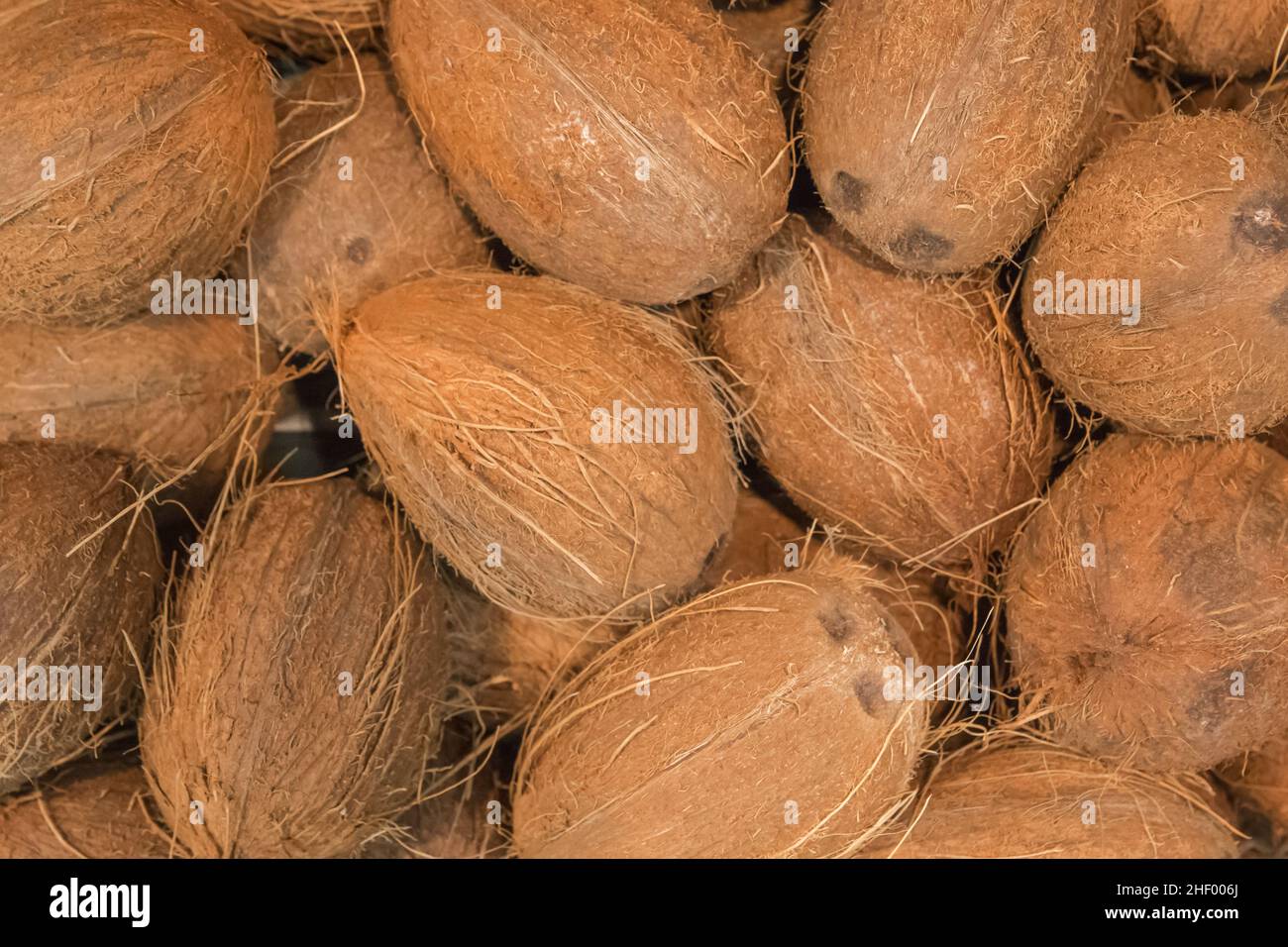 Kokos Tropical Food Natural Brown Hintergrund Exotisch. Stockfoto