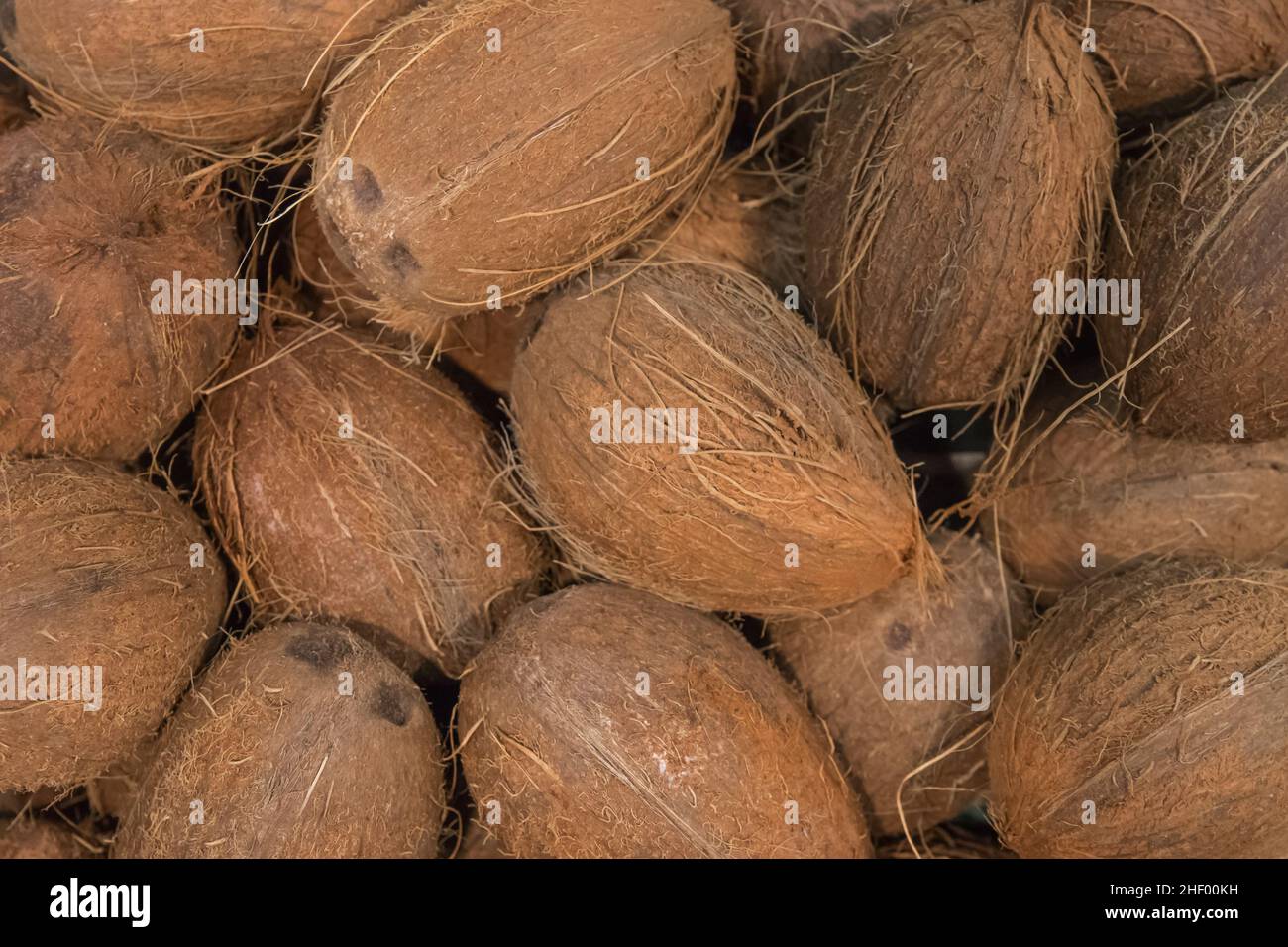 Kokos Tropical Food Natural Brown Hintergrund Exotisch. Stockfoto