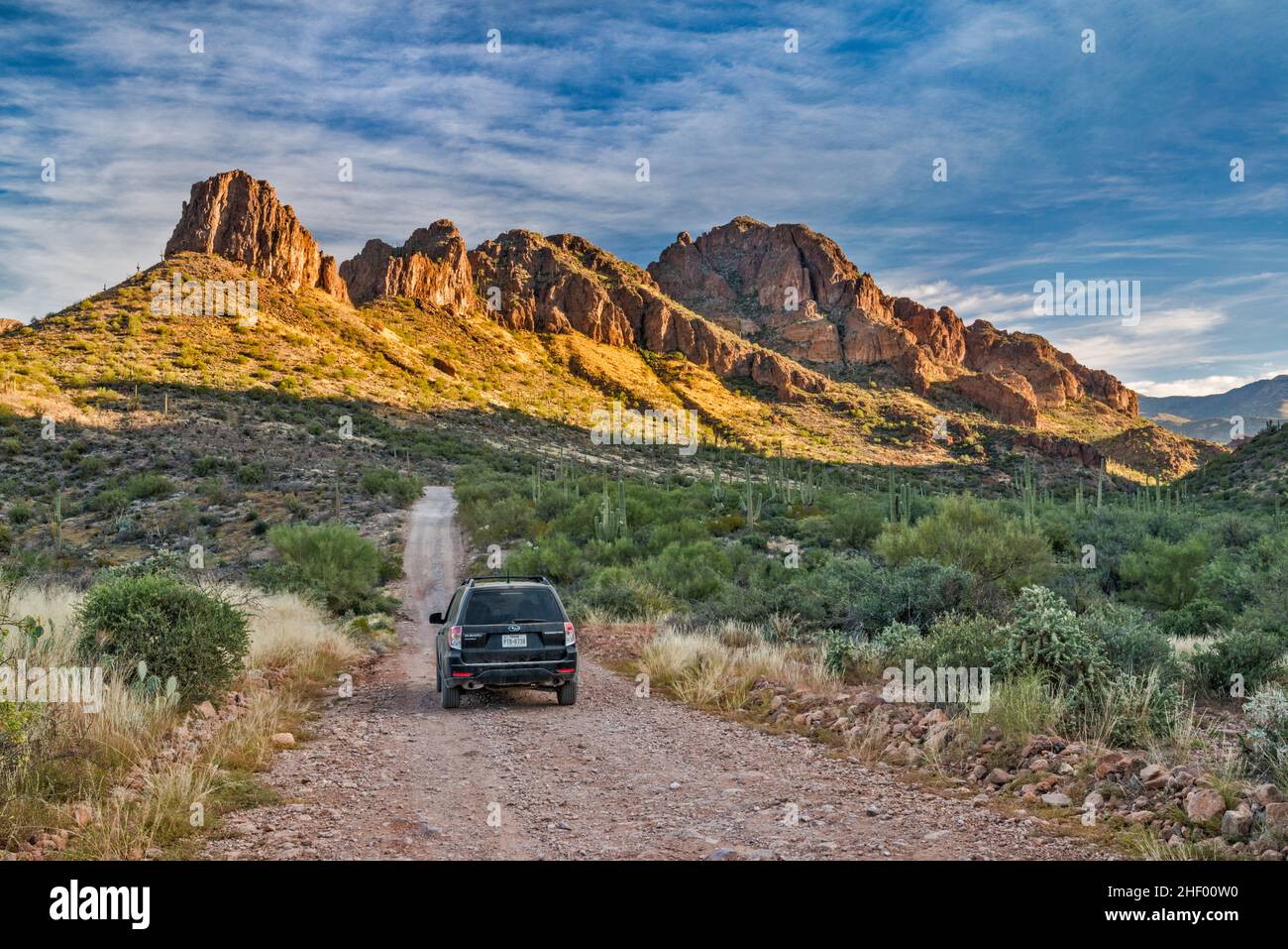 Superstition Mountains, Blick vom Hewitt Canyon, Montana Mountain Loop (NF 172 aka FS 172), Tonto National Forest, nahe Queen Valley, Arizona, USA Stockfoto