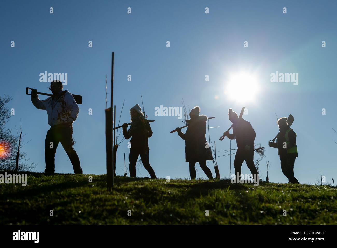 Worcester, Großbritannien. 13th Januar 2022. Freiwillige beginnen mit der Pflanzung von 400 Bäumen in einem Stadtpark von Worcester, um die 400 Jahre der Stadt als Stadt zu markieren. Worcester nimmt am Queen's Green Canopy-Projekt Teil, das anlässlich des Platin-Jubiläums Ihrer Majestät im Jahr 2022 stattfindet und Menschen in ganz Großbritannien dazu einlädt, „einen Baum für das Jubiläum zu Pflanzen“. Kredit: Peter Lopeman/Alamy Live Nachrichten Stockfoto