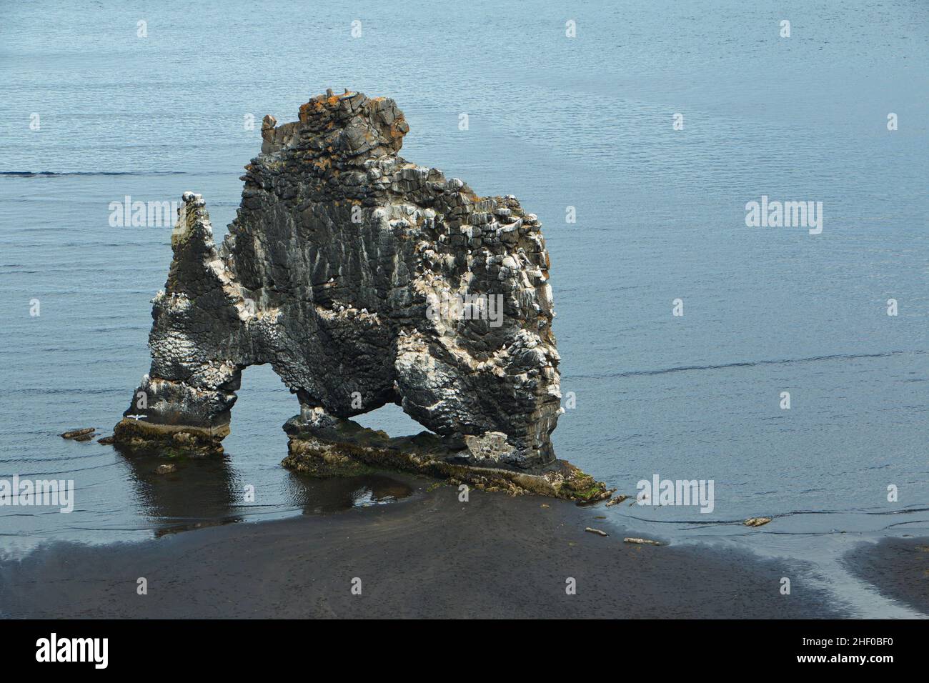 Hvitserkur Rock in Island, Europa Stockfoto