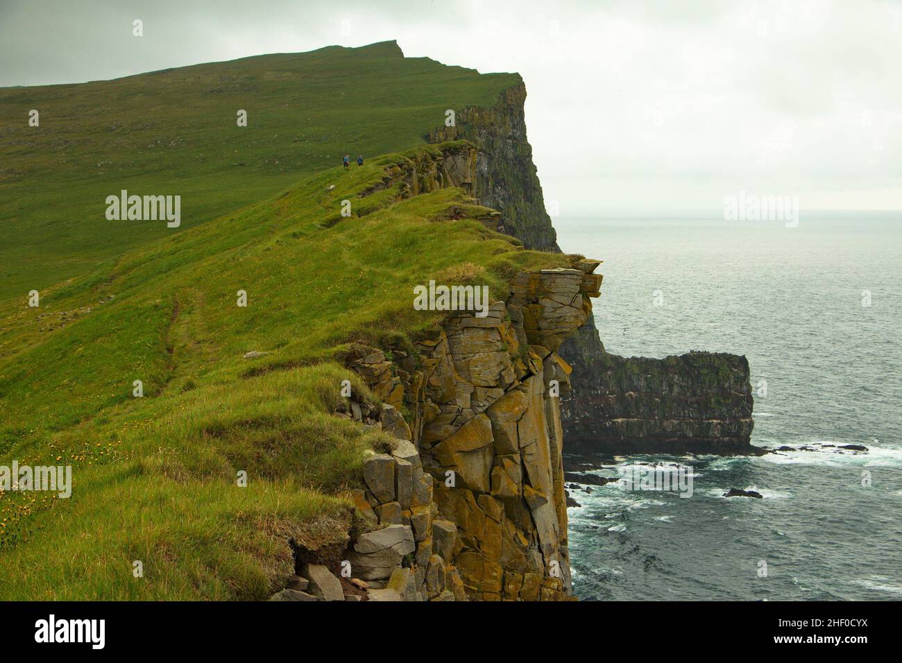 Klippen von Latrabjarg, Westfjorde, Island, Europa Stockfoto