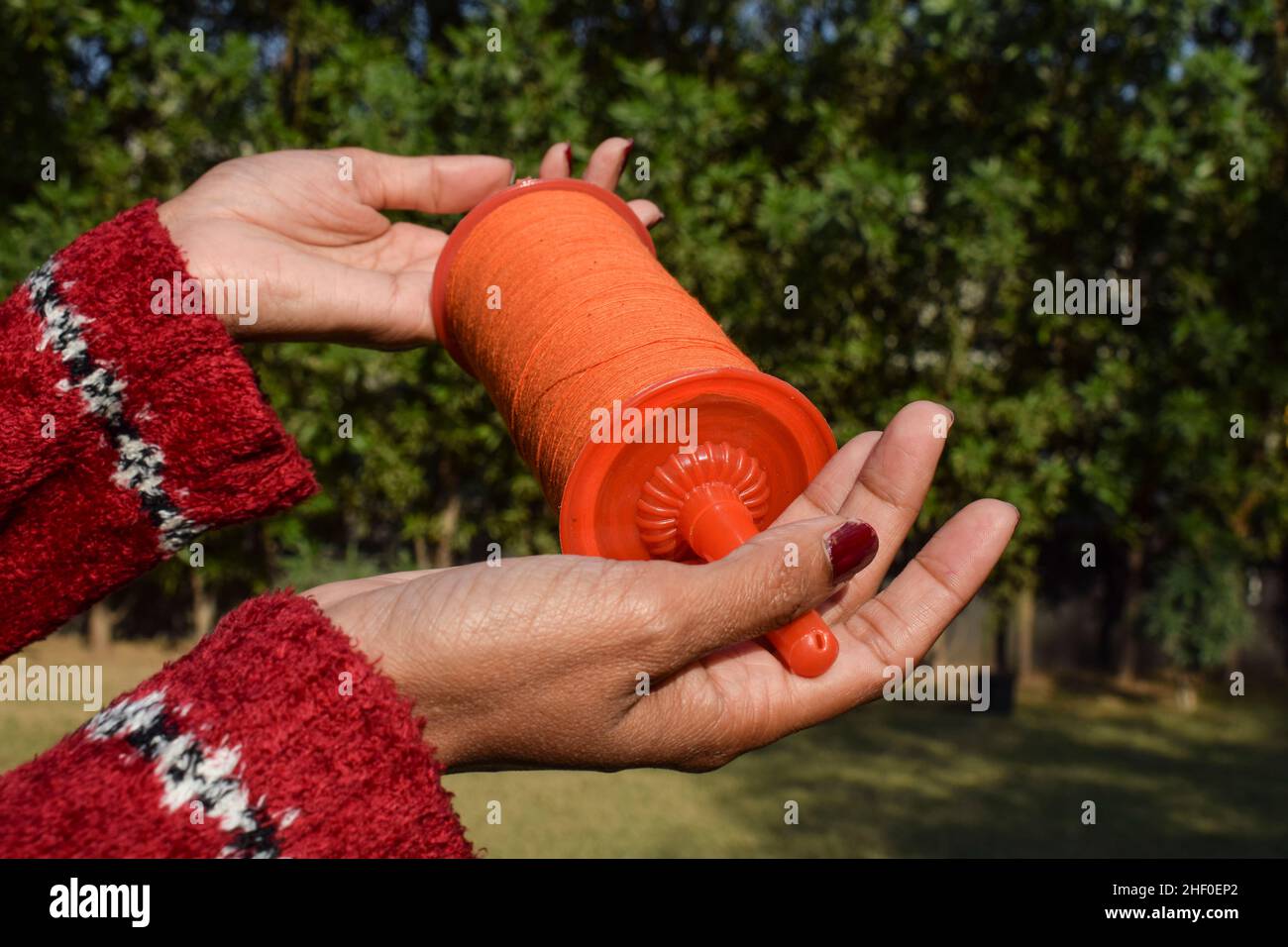 Weibchen, die Drachen phirki Manjha oder Drachenspule in der Hand halten und Drachen zu Hause fliegen, um das indische Drachenfest von Makar sankranti oder Ut zu feiern Stockfoto