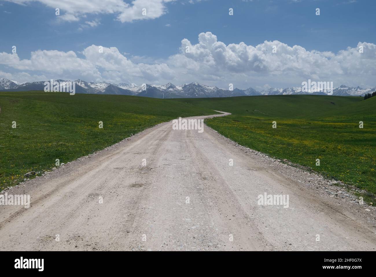 Leere, kurvenreiche Feldstraße durch grüne Prärie, die an sonnigen Tagen zum Schneeberg führt. In Xinjiang China Stockfoto