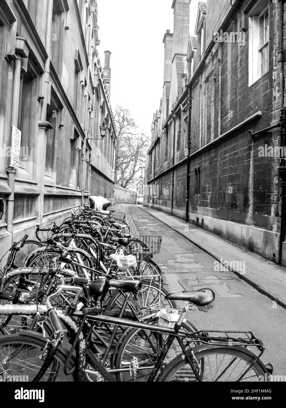 Fahrräder, die in einer schmalen Einbahnstraße in Oxford, England, geparkt sind Stockfoto
