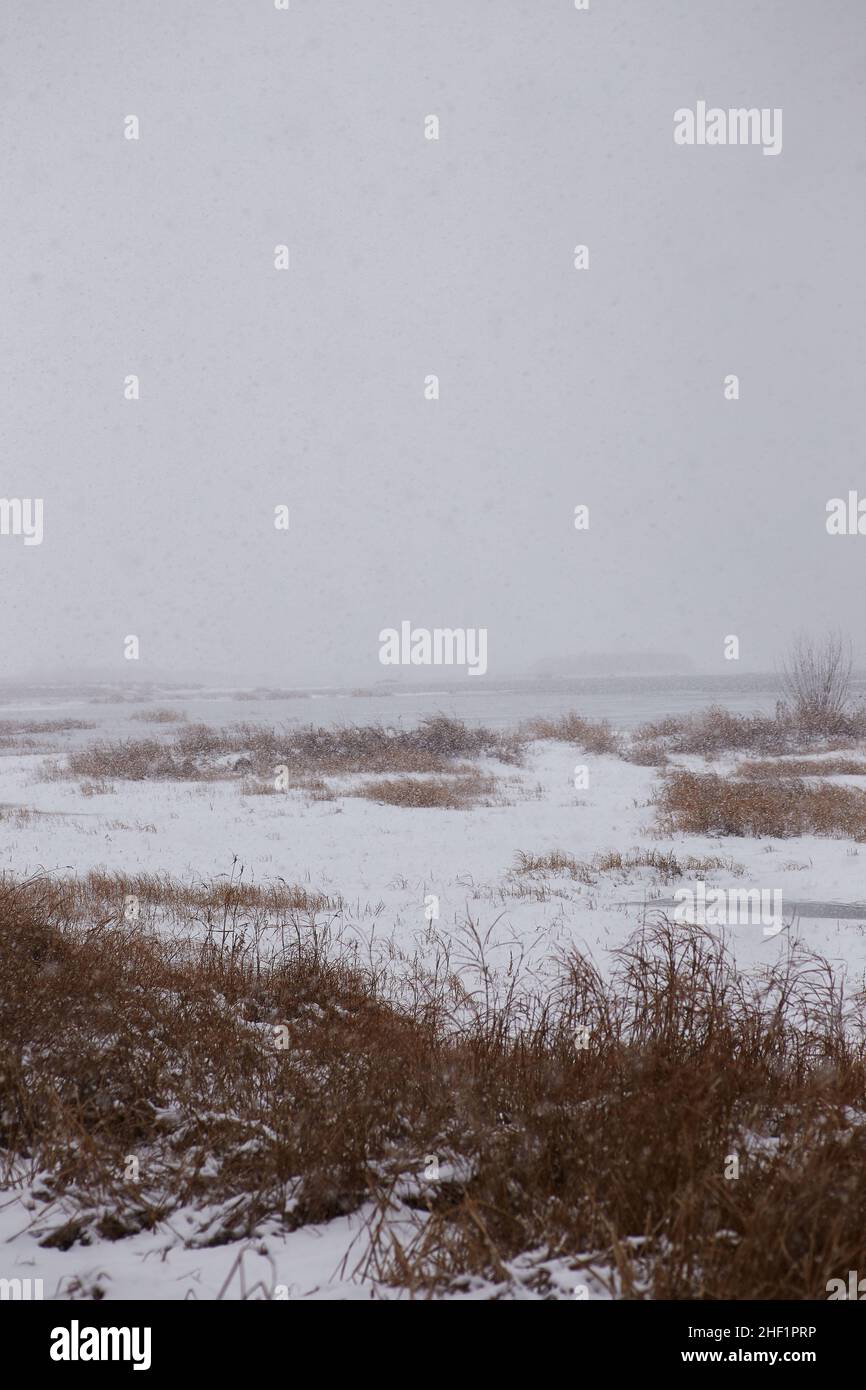 Winterlandschaft am Flussufer während eines Schneesturms. Vertikale Aufnahme einer Winterlandschaft während eines Sturms. Stockfoto