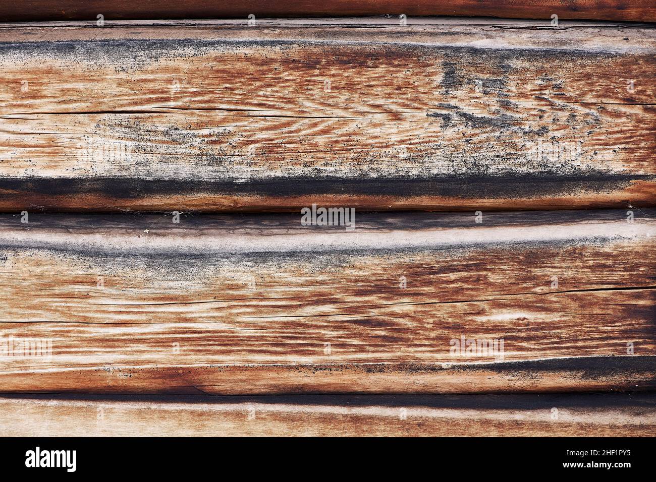 Holzhintergrund von mehreren Brettern mit einer gut lesbaren Textur. Stockfoto