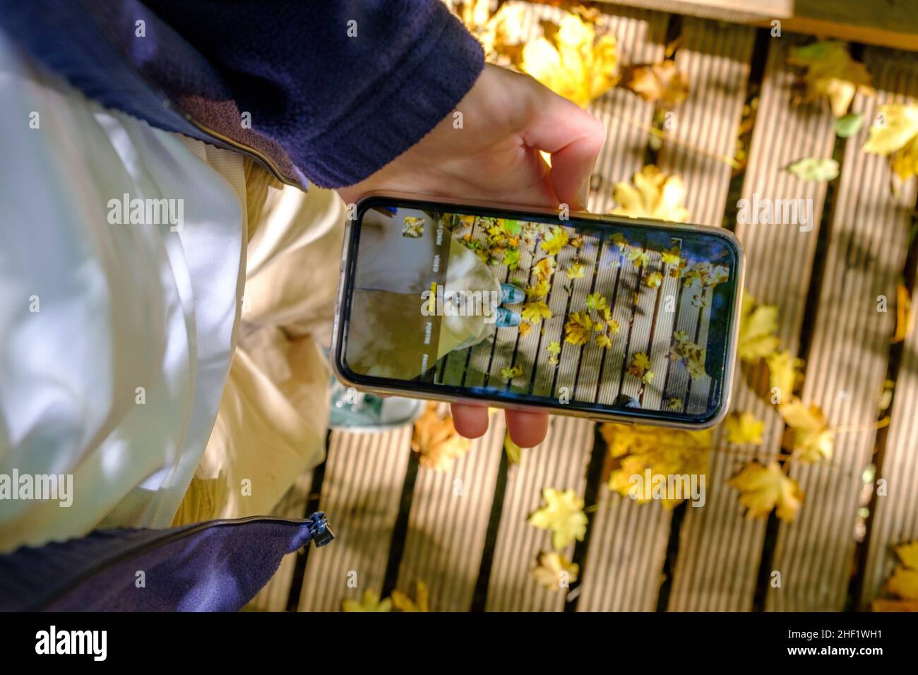 Frau, die am Telefon ihre Beine mit Blatt im Hintergrund der Herbstsaison fotografiert Stockfoto