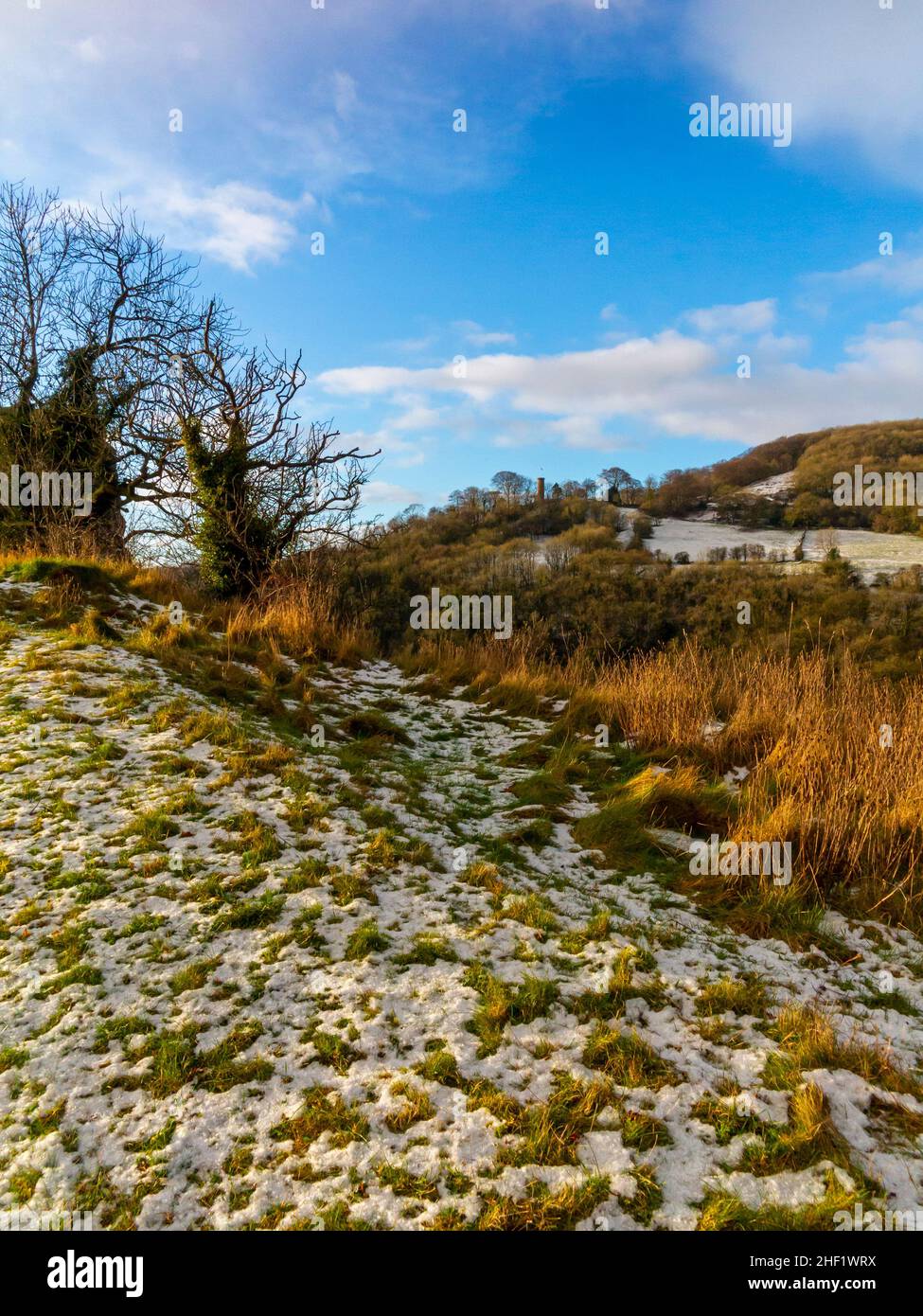 Schneebedeckte Landschaft mit Bäumen am High Tor in Matlock Bath im Derbyshire Peak District England Großbritannien mit Masson Hill in der Ferne sichtbar. Stockfoto