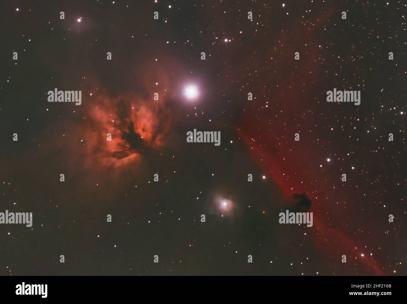 Der Horsehead- und Flammennebel in der Konstellation des Orion. Ebenfalls sichtbar ist der Stern von Alnitak. Fotografiert unter dem Himmel von Bortle 6 aus Großbritannien Stockfoto