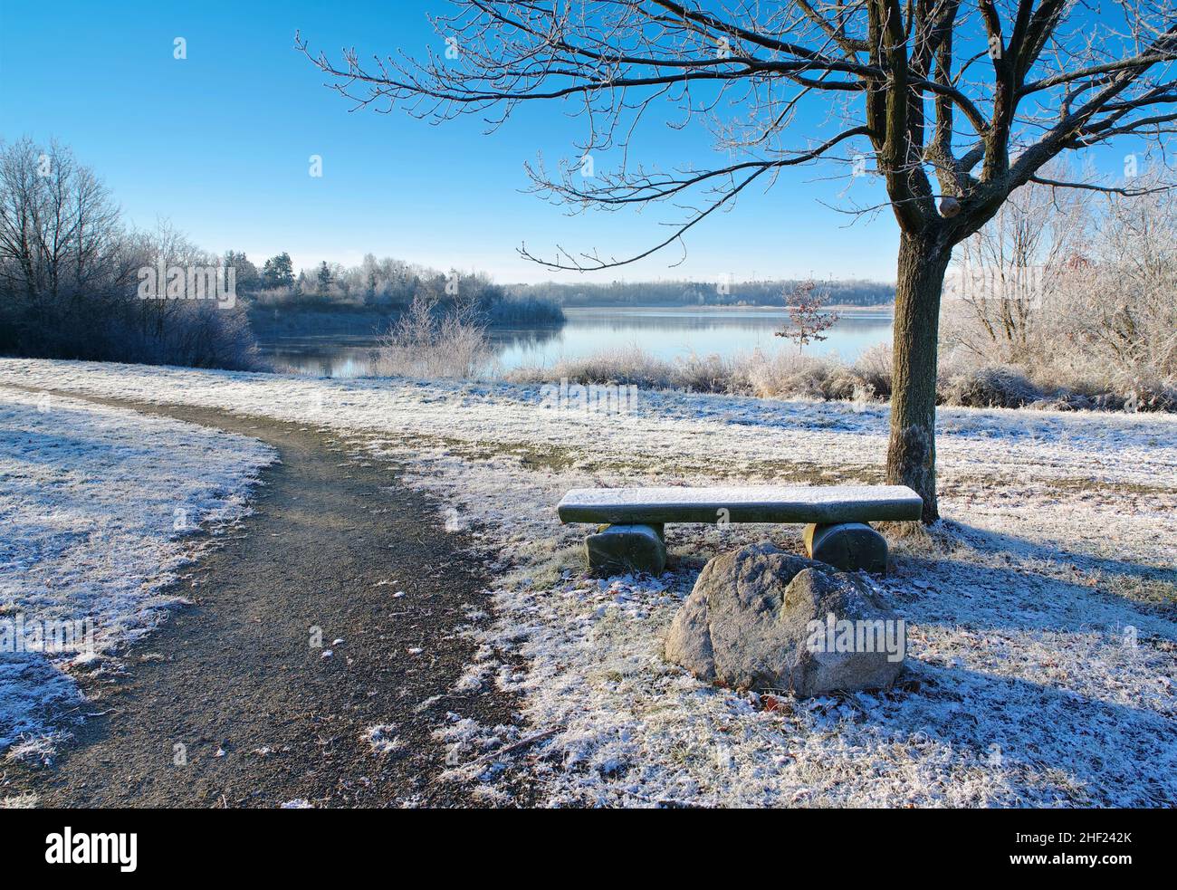 Drochow-See im Lausitzer Seenland im Winter, Deutschland Stockfoto