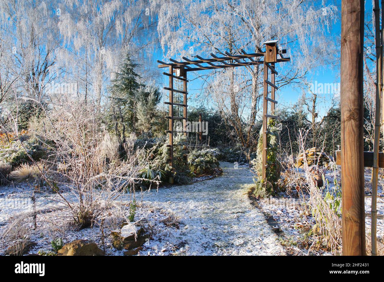 Garten im Winter mit Reif an einem kalten Tag in der Früh Stockfoto