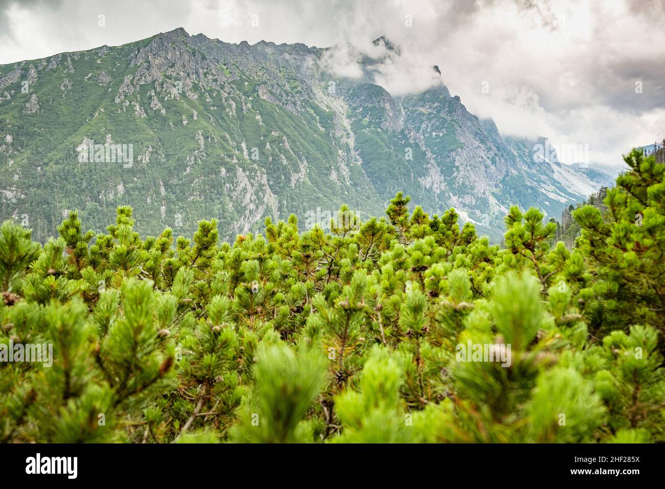 Hohe Tatra Gipfel mit dem blauen Himmel und Wolken auf dem Hintergrund in der Slowakei. Wanderwege im Sommer Stockfoto