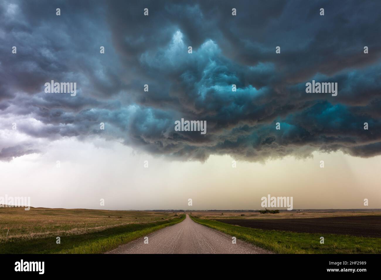 Turbulente Sturmwolken am Himmel über einer unbefestigten Straße und einem Feld in der Nähe von Tappen, North Dakota Stockfoto