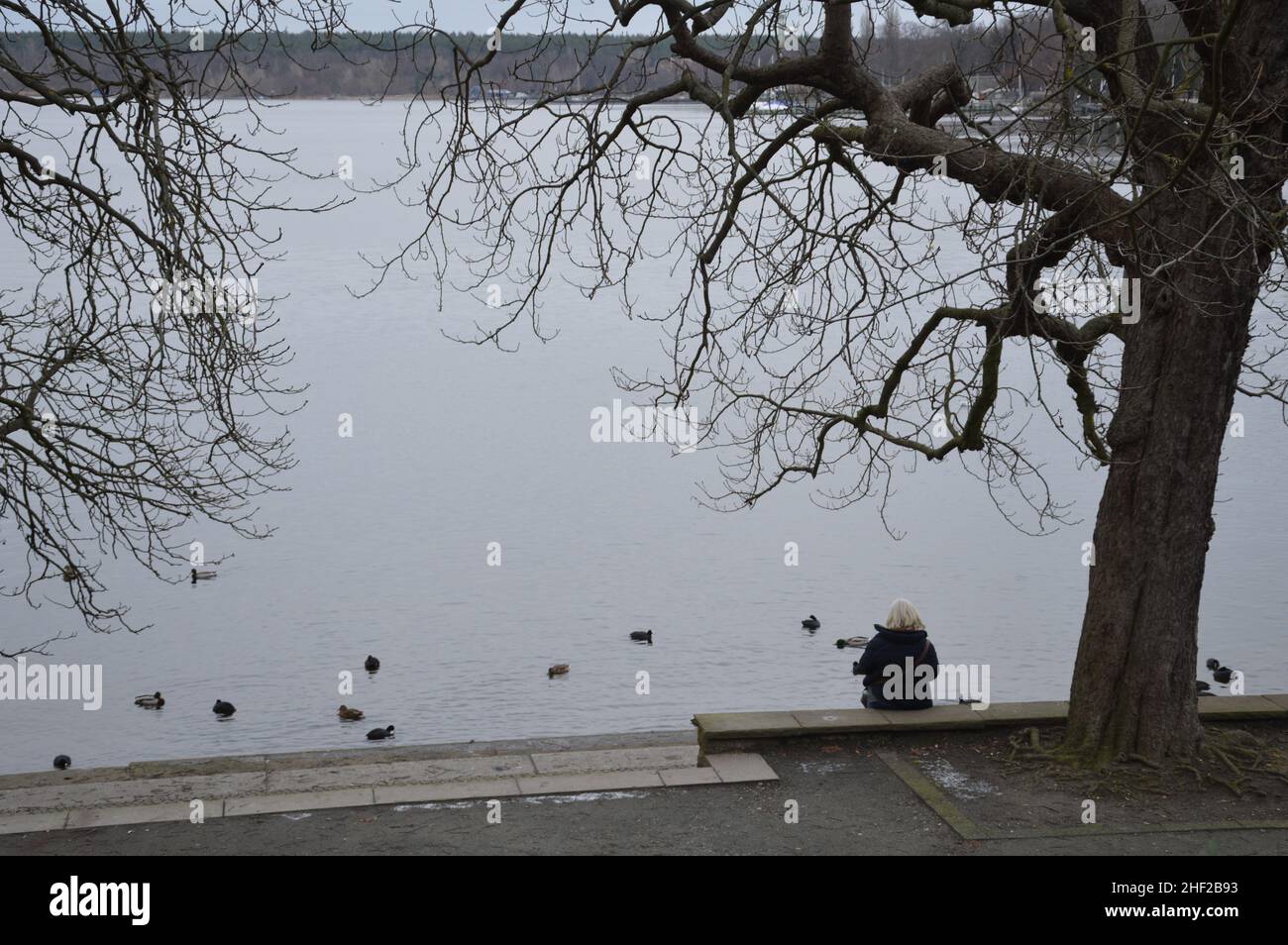 The Grosser Wannsee, Berlin, Deutschland - 9. Januar 2022. Stockfoto