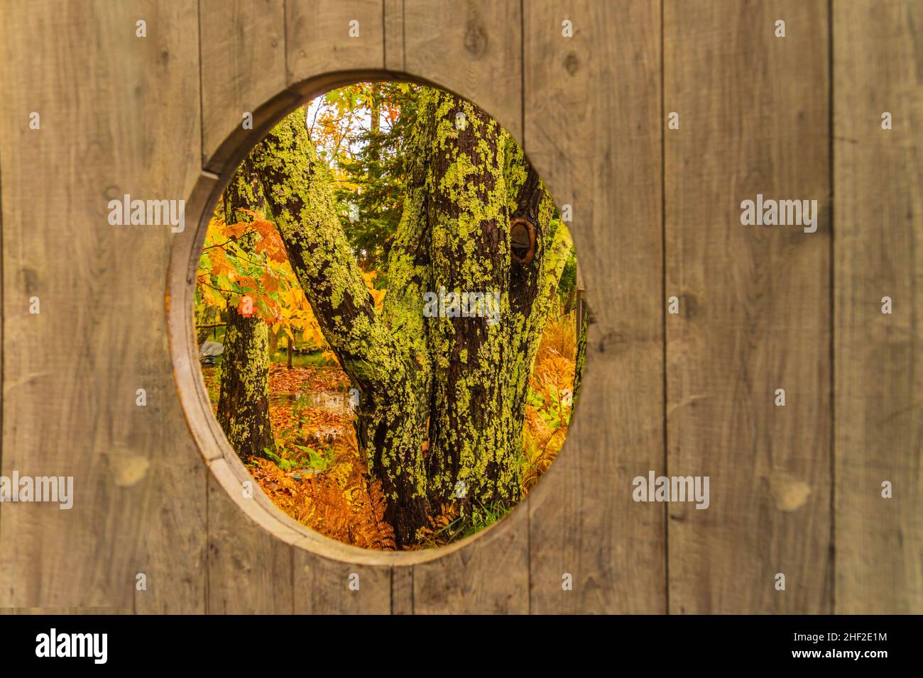 Ein Blick auf die Herbstfarben durch ein kreisförmiges Fenster Stockfoto