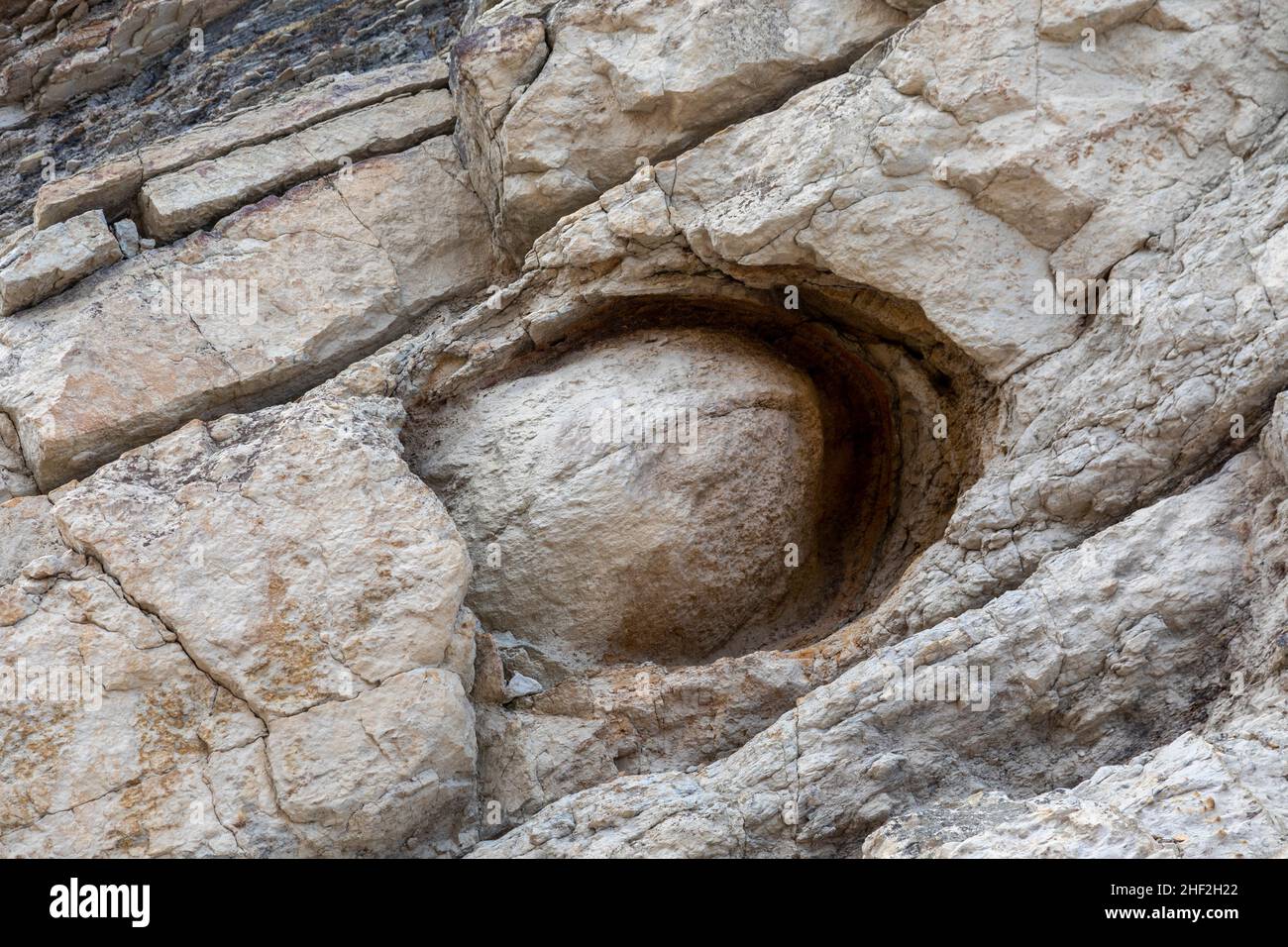 Morrison, Colorado - Eine große Konkretion aus Sand und Eisen auf dem Dinosaur Ridge. Stockfoto
