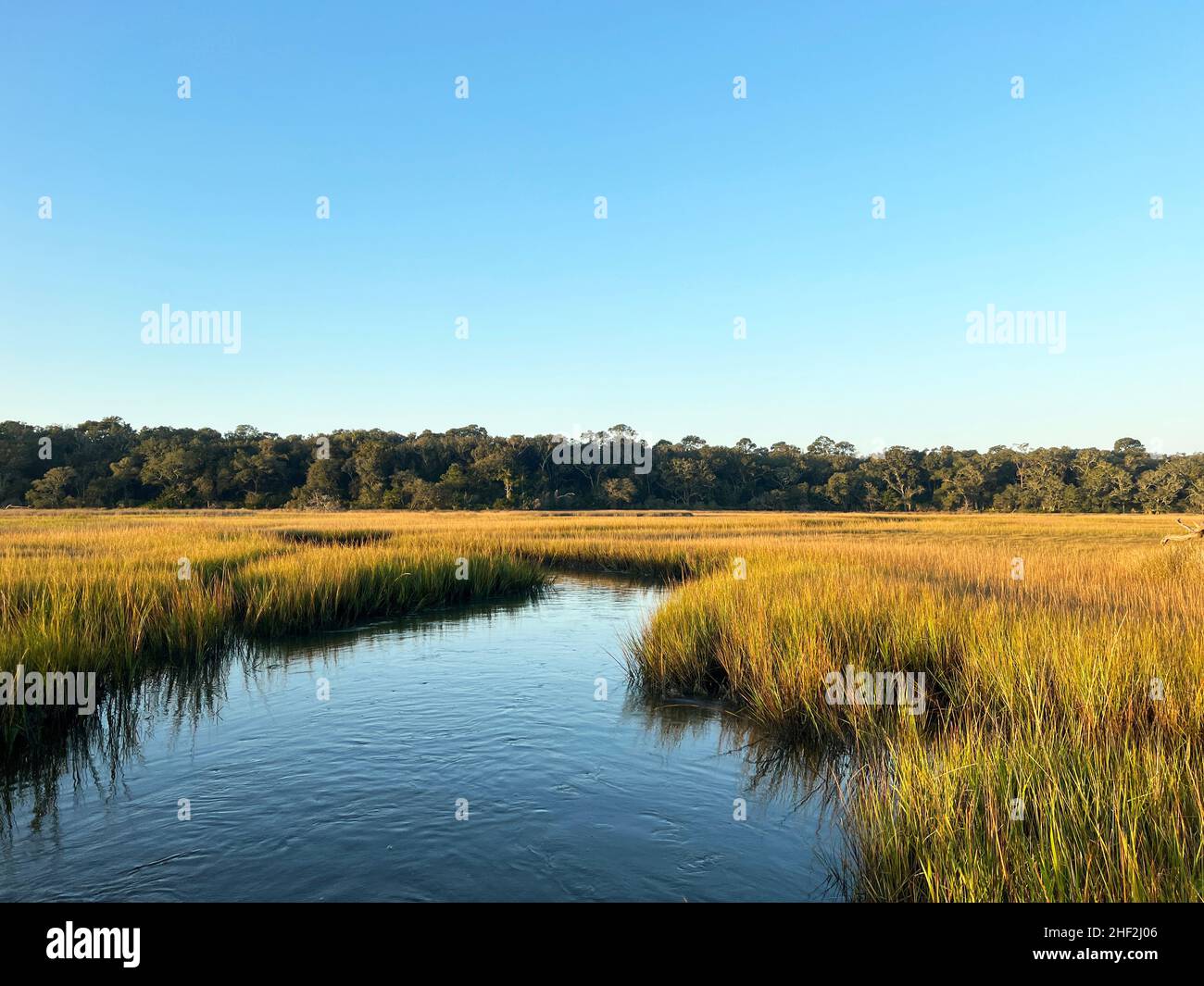 Der Salzmarsch am Clam Creek, Jekyll Island, Georgia, bietet einen einzigartigen maritimen Lebensraum im Tiefland. Stockfoto