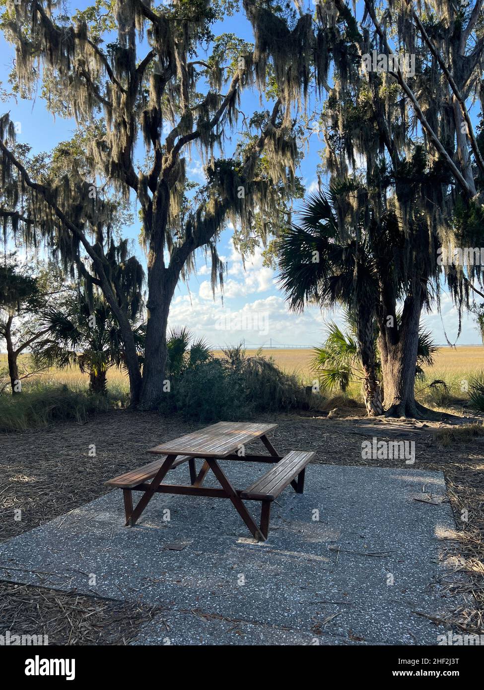 Ein Blick auf den Salzmarsch vom Horton House-Gelände auf Jekyll Island, Georgia, einem ruhigen, langsamen Reiseziel im Südosten der Vereinigten Staaten. Stockfoto