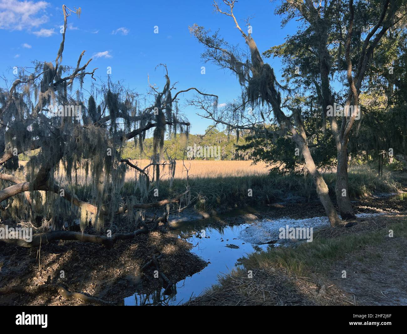 Ein Blick auf den Salzmarsch vom Horton House-Gelände auf Jekyll Island, Georgia, einem ruhigen, langsamen Reiseziel im Südosten der Vereinigten Staaten. Stockfoto