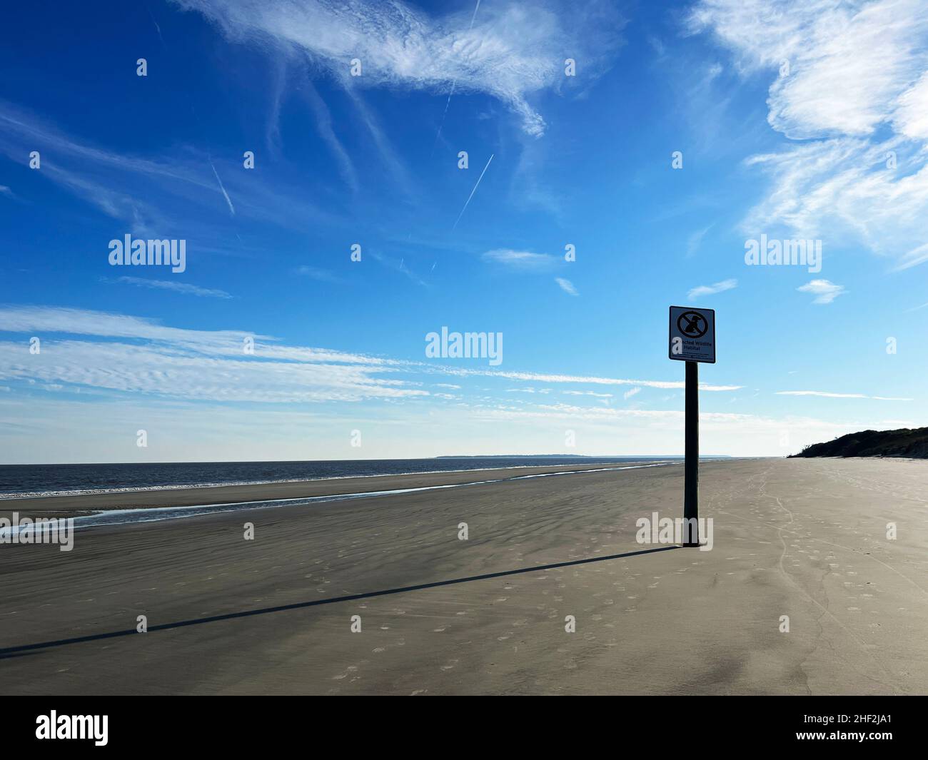 Ein Schild an einem Strand auf Jekyll Island erinnert daran, dass Hunde im Vogelschutzgebiet nicht erlaubt sind. Cumberland Island ist im Hintergrund zu sehen. Stockfoto