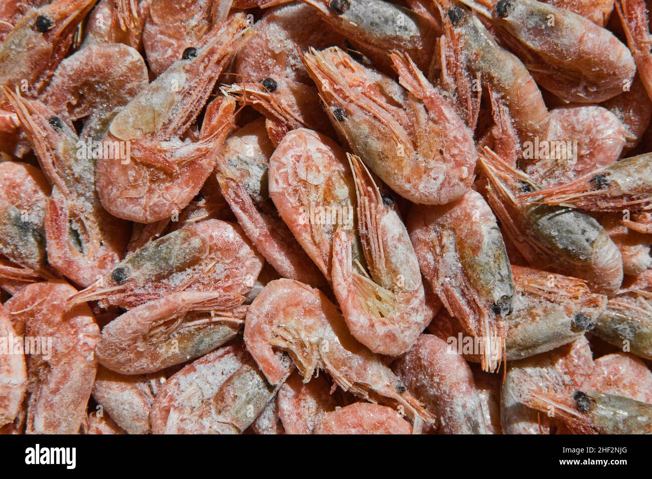 Nahaufnahme von gefrorenen Garnelen. Ungekochte und ungeschälte Meeresfrüchte im Hintergrund. Gekochte und gefrorene Garnelen. Halbfertigprodukte. Stockfoto