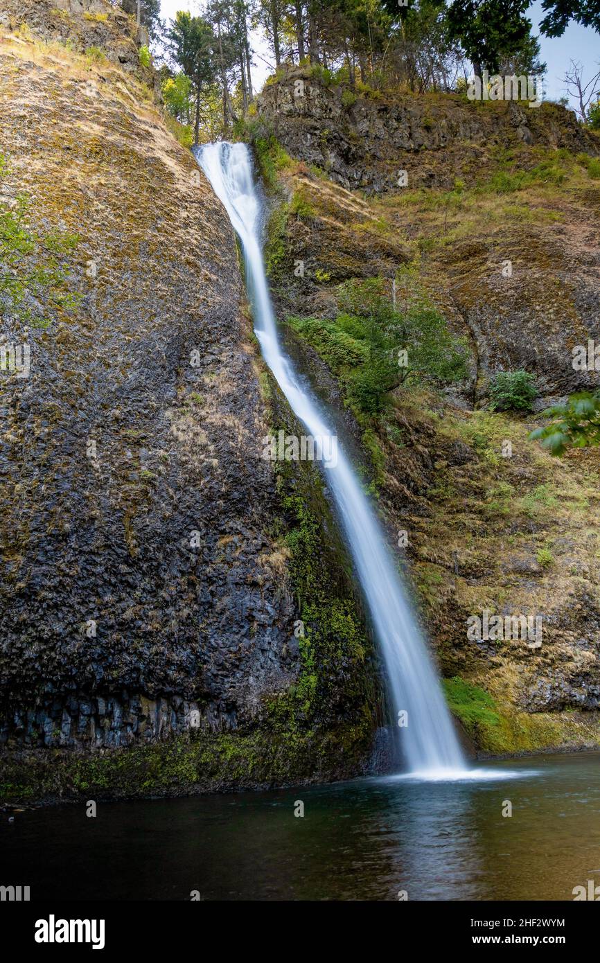 Schachtelhalm-Wasserfälle entlang des Old Highway in der Columbia River Gorge, Oregon, USA. Stockfoto