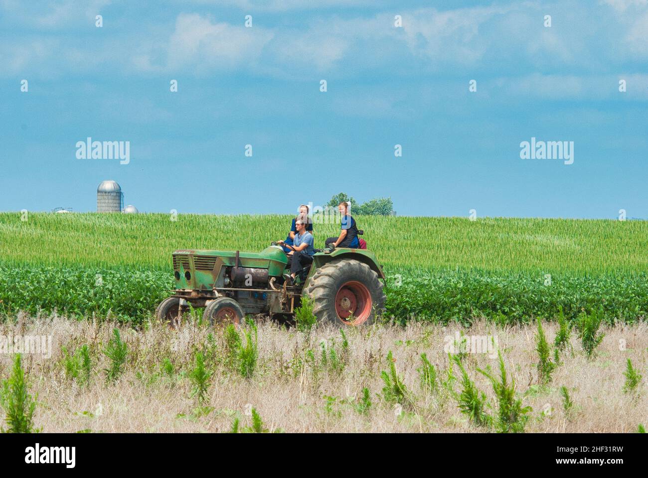 Ronks, Pennsylvania, Juli 2021 - Amish Boy und Girl Teenagers, die an einem Sommertag auf einem alten Traktor auf Ackerland reiten Stockfoto