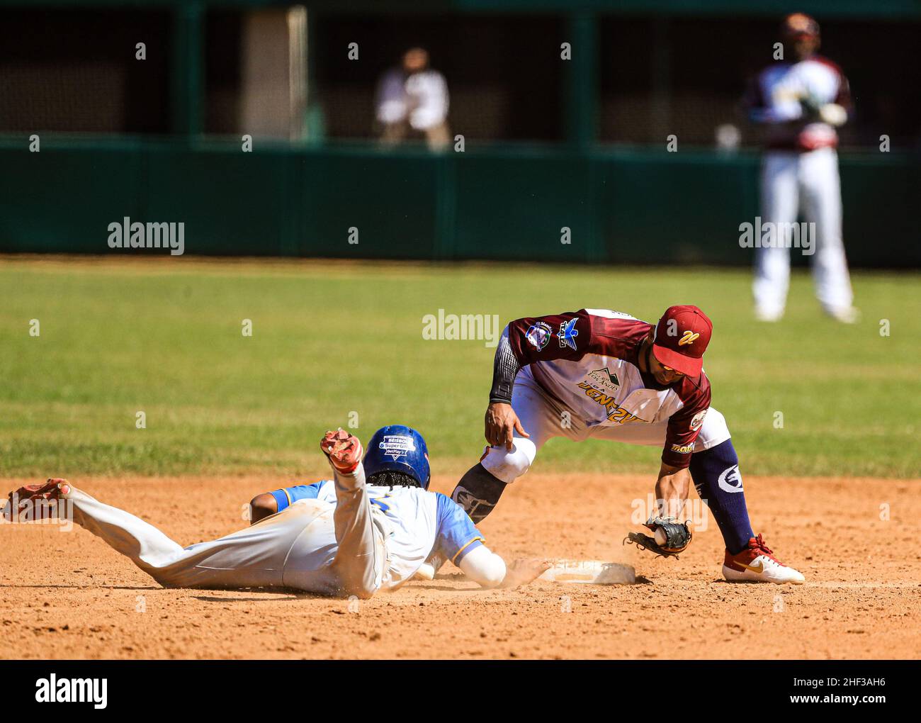 MAZATLAN, MEXIKO - 02. FEBRUAR: Brallan Andrés Pérez von Los Caimanes de Barranquilla kehrt mit dem zweiten Baseman Alí Castillo von Los Caribes Anzoategui im dritten Inning, während des Basislaufes im dritten Inning, Während des Spiels zwischen Kolumbien und Venezuela im Rahmen der Serie del Caribe 2021 im Teodoro Mariscal Stadium am 2. Februar 2021 in Mazatlan, Mexiko (Foto: Luis Gutierrez/Norte Photo) Stockfoto