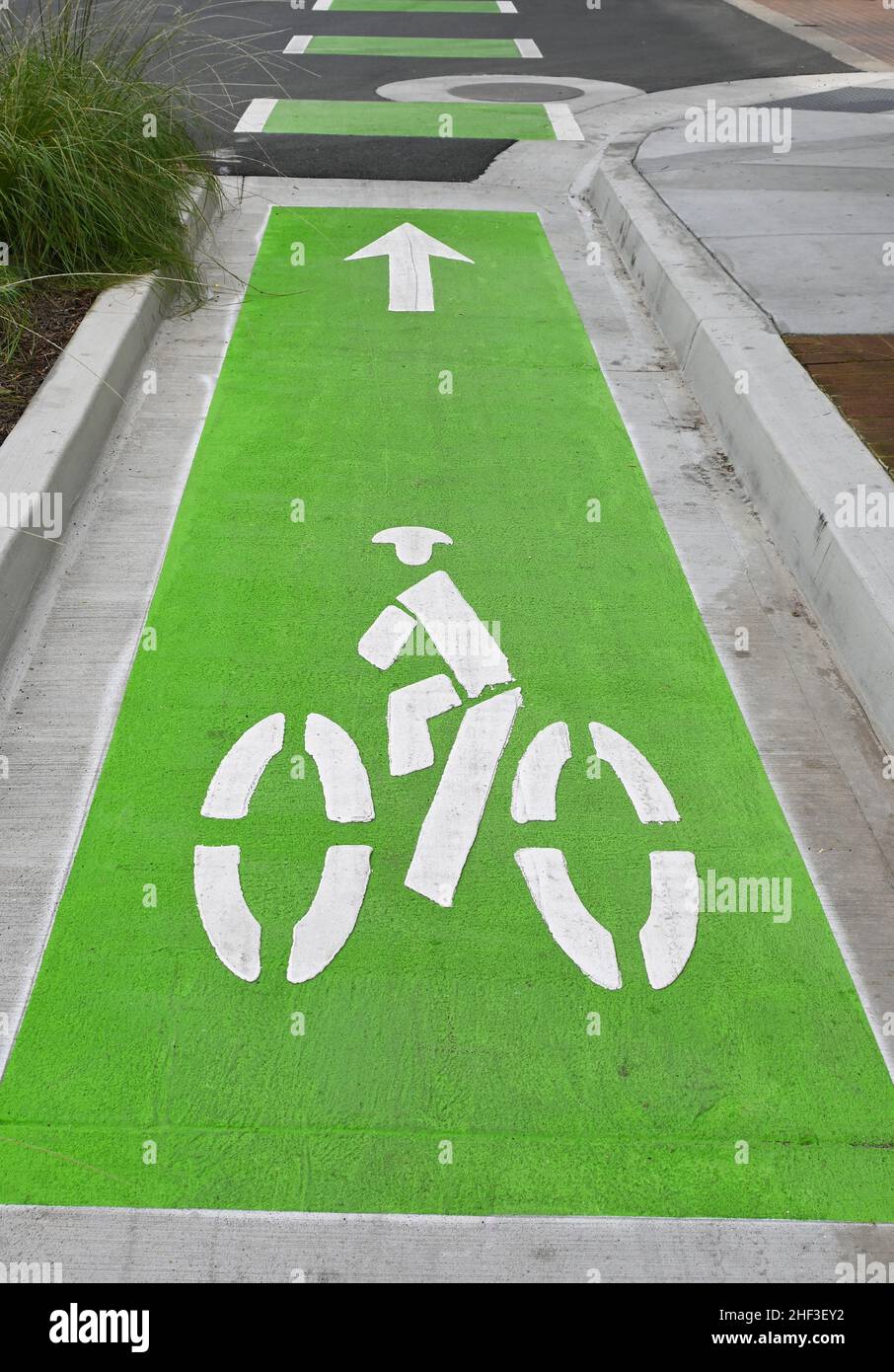 SANTA ANA, KALIFORNIEN - 10. JAN 2022: Nahaufnahme einer abgetrennten Fahrradspur und einer grünen Fahrbahnmarkierung im Stadtzentrum. Stockfoto