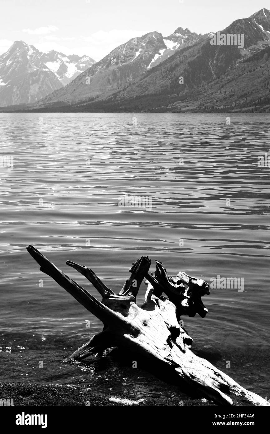 Die wunderschöne Grand Teton Mountain Range. Stockfoto