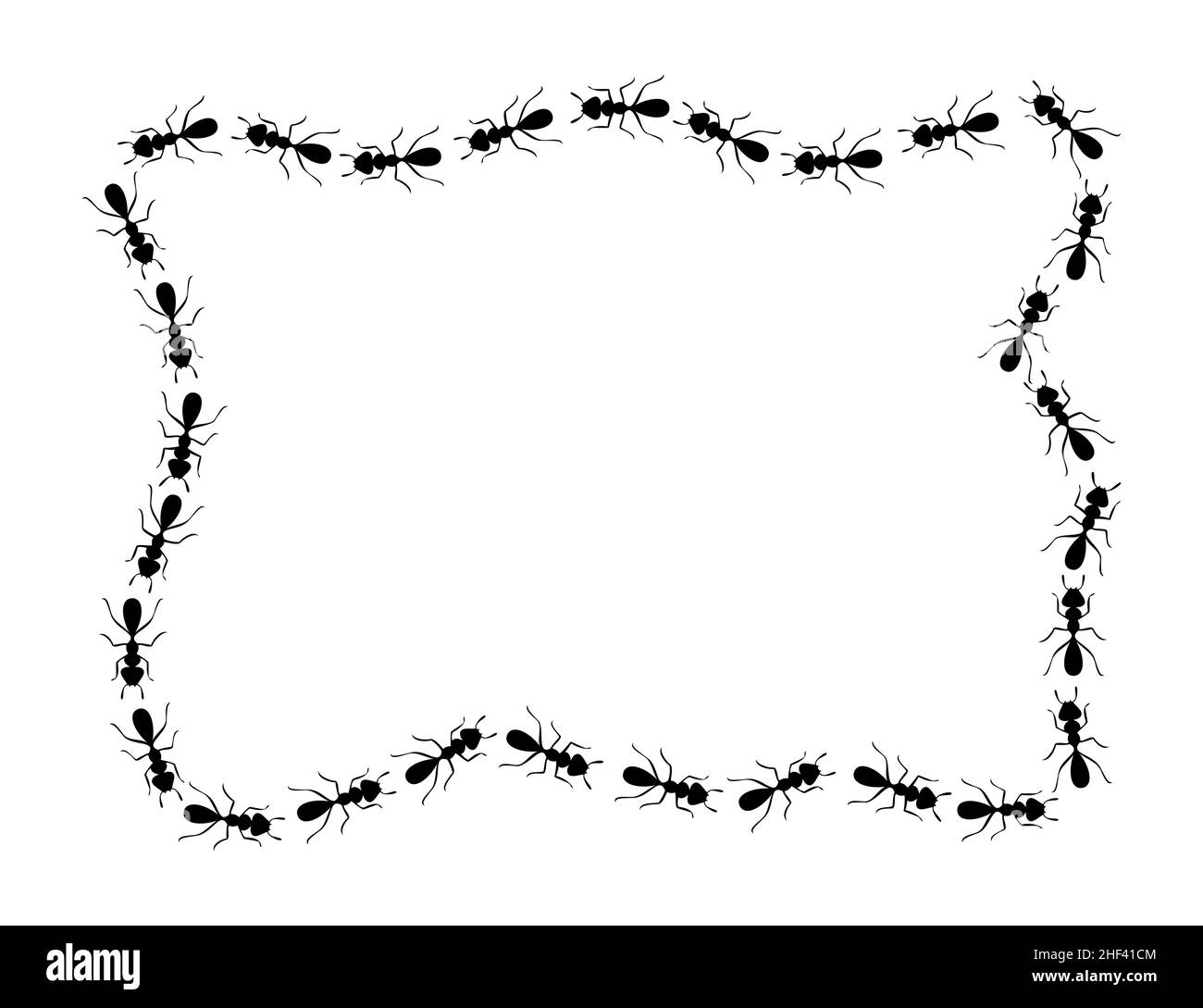 Schwarze Ameisen quadratischen Rand. Ameisen bilden unordentliche rechteckige Form isoliert auf weißem Hintergrund. Vektorgrafik Stock Vektor