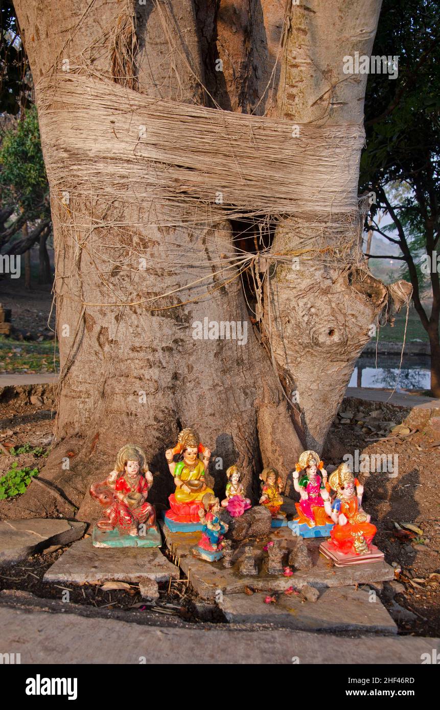 Kleine Idole der Göttin Lakshmi und ein Banyan-Baum, außerhalb des Shri Panchalinga Prasanna Tempels, in Junnar, in der Nähe von Pune, Maharashtra, in Stockfoto