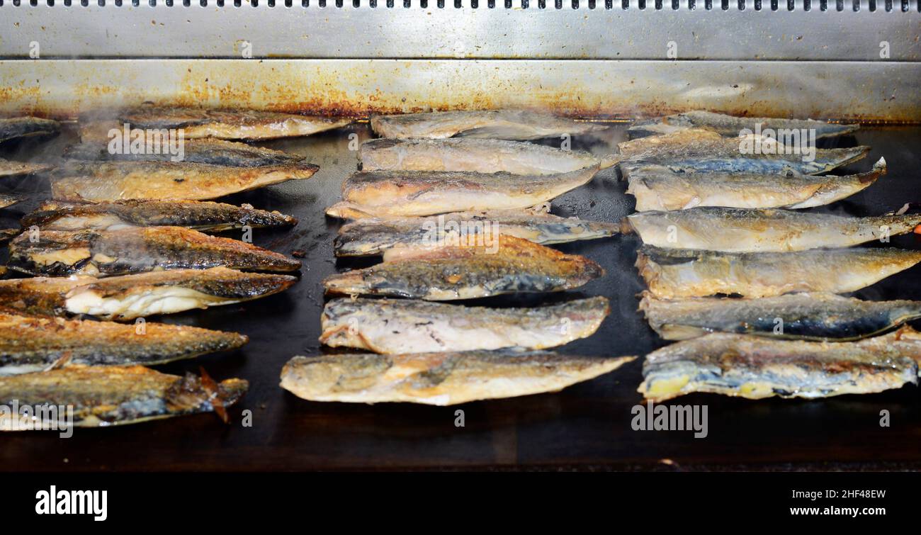 Vorbereitung eines Makrelenfischsandwiches auf der Galata-Brücke in Istanbul. Stockfoto