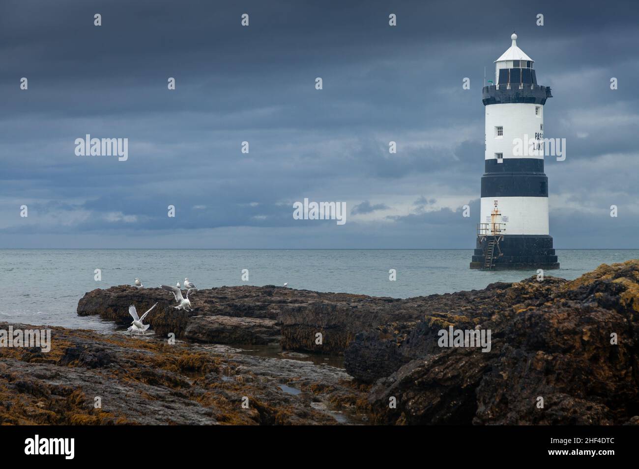 Penmon Point Lighthouse Isle of Anglesey, Wales, Großbritannien Stockfoto