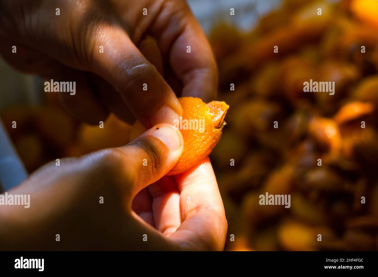 Herstellung von getrockneten Aprikosen. Frau extrahiert den Samen zum Trocknen der Aprikose. Stockfoto