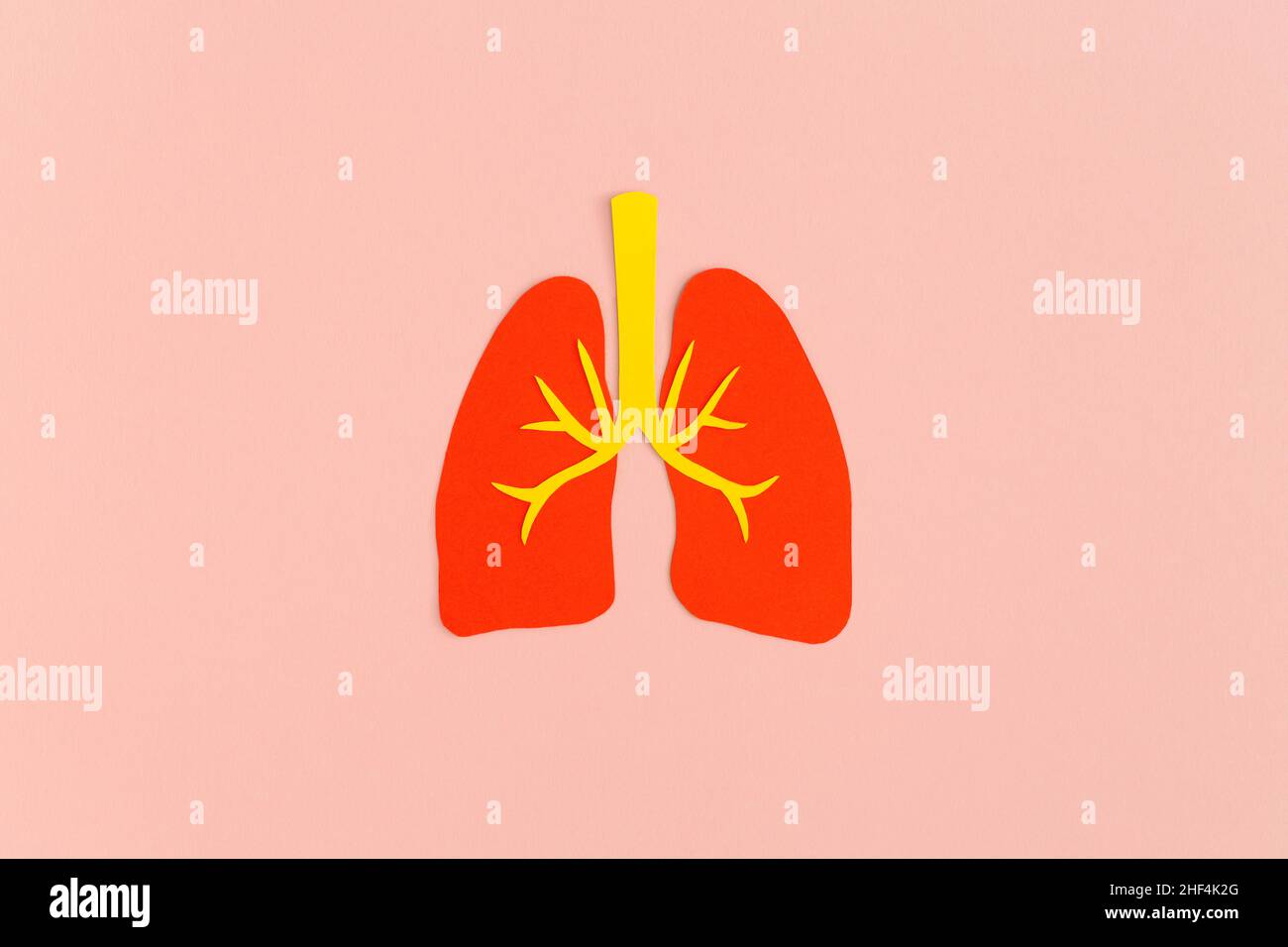 Papierlunge auf rosa Hintergrund Stockfoto