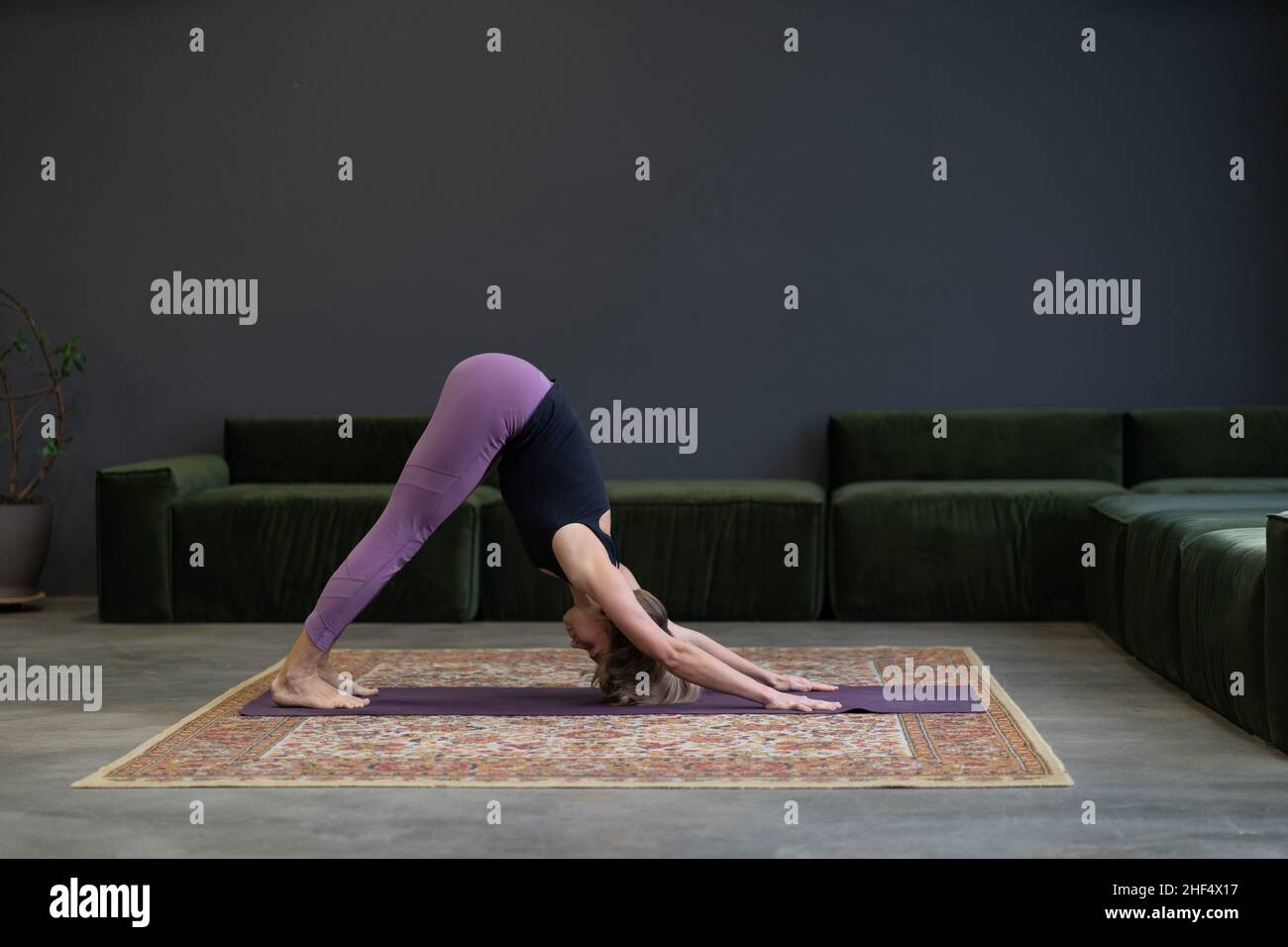 Hundepose, Yoga. Eine reizende Frau, die bei einem Morgenkurs in einer Wohnung in Megapolis eine Dehnung macht. Konzept der Körperpflege in einer urbanen Umgebung. Hochwertige Fotos Stockfoto