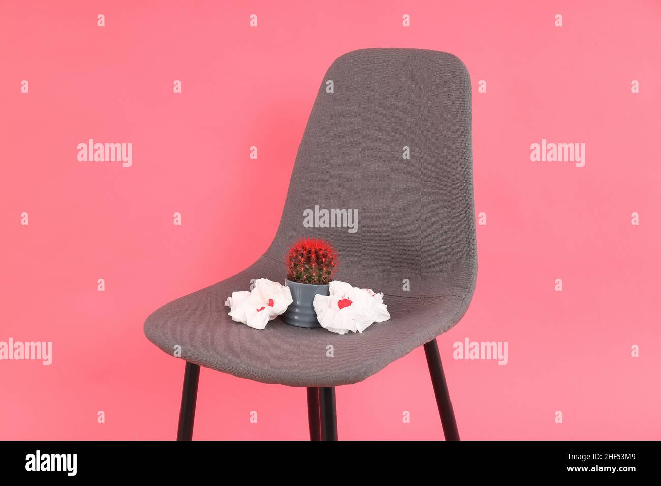 Stuhl mit Kaktus und Papier mit Blut auf rosa Hintergrund. Hämorrhoiden  Konzept Stockfotografie - Alamy