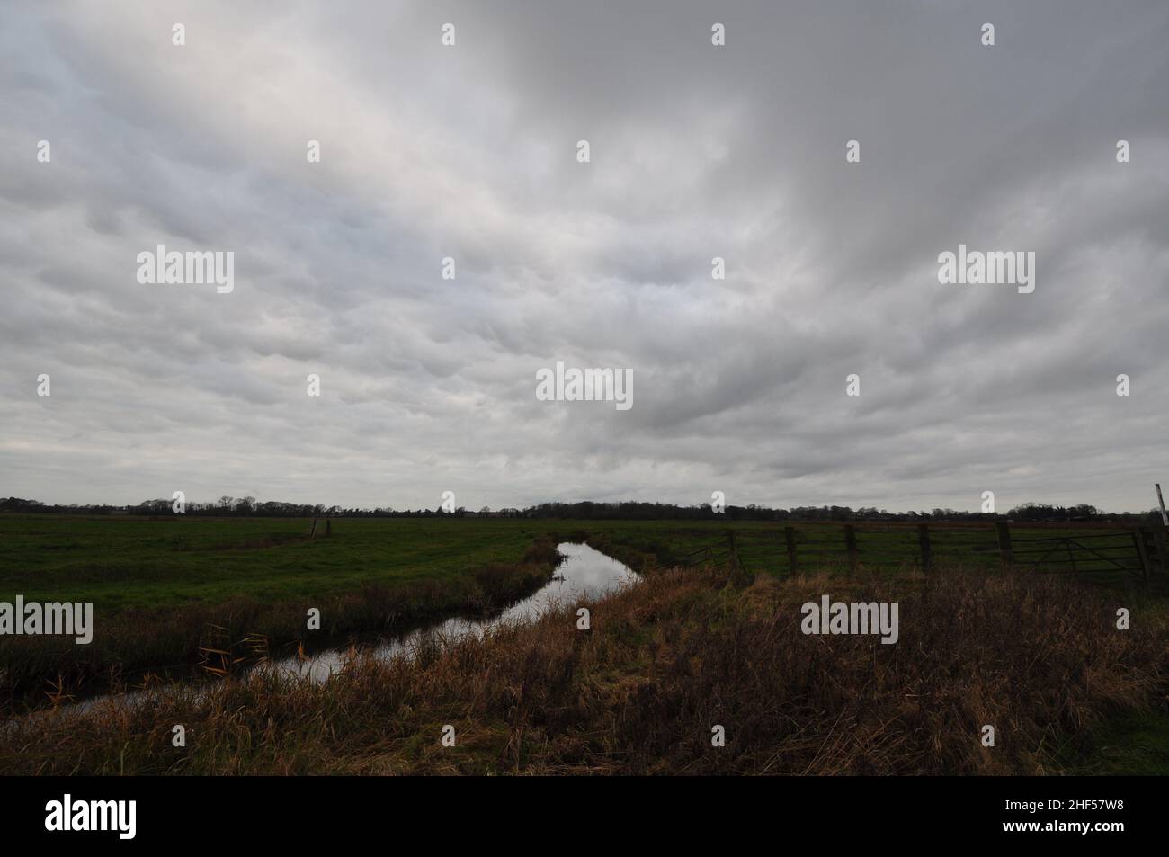 Auf Halvergate Sümpfe entlang der Weaver's Way Fernweg, Norfolk Broads, England, Großbritannien Stockfoto